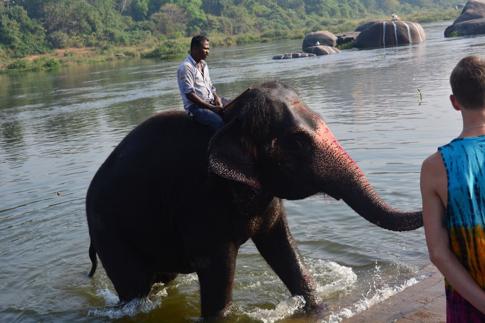 Photo of Tungabhadra River, Karnataka by arti