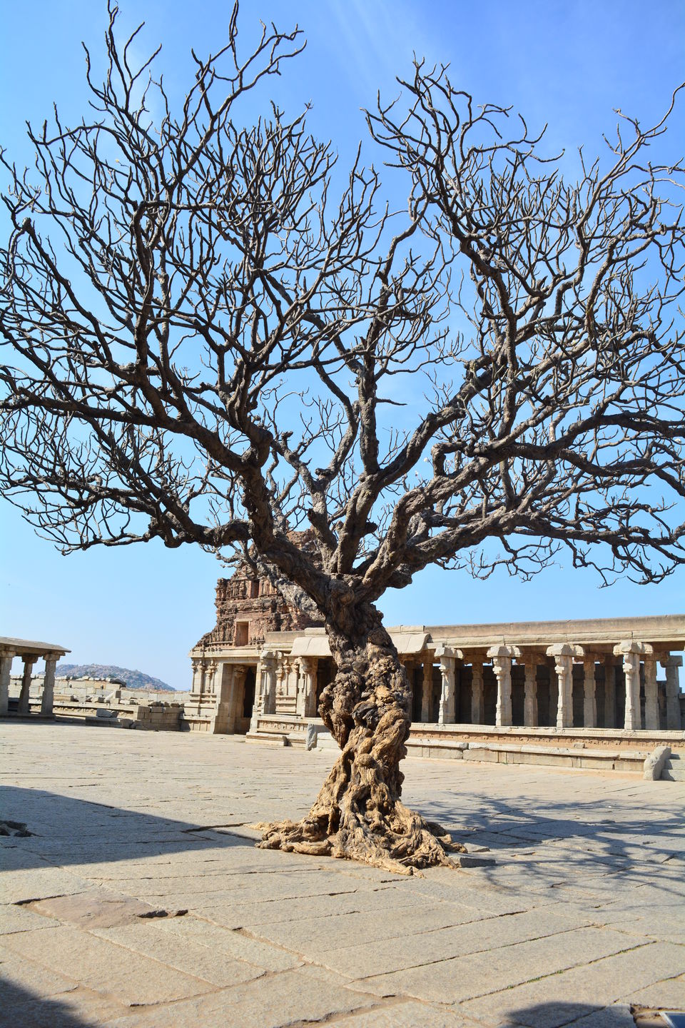 Photo of Hampi, Karnataka, India by arti