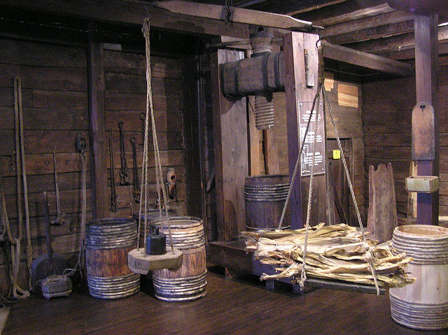 Photo of Bergen Museum - De Naturhistoriske samlinger, Muséplassen, Bergen, Norway by Jess