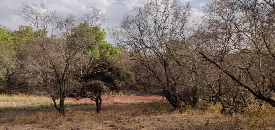 Photo of Ranthambore Tiger Reserve, Sawai Madhopur, Rajasthan, India by hugthebackpack