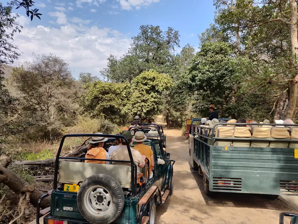 Photo of Ranthambore Tiger Reserve, Sawai Madhopur, Rajasthan, India by hugthebackpack