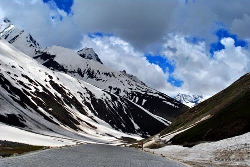 Photo of Zoji La Pass, Forest Block by Sushant Panda