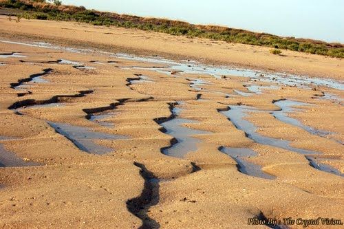 Photo of Pirotan Island, Pirotan, Gujarat, India by Sushant Panda