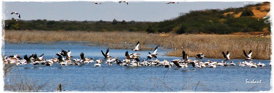 Photo of Weekend Getaways from Ahmedabad 2/31 by Sushant Panda
