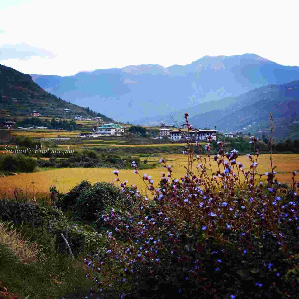 Photo of Bhutan by Sushant Panda