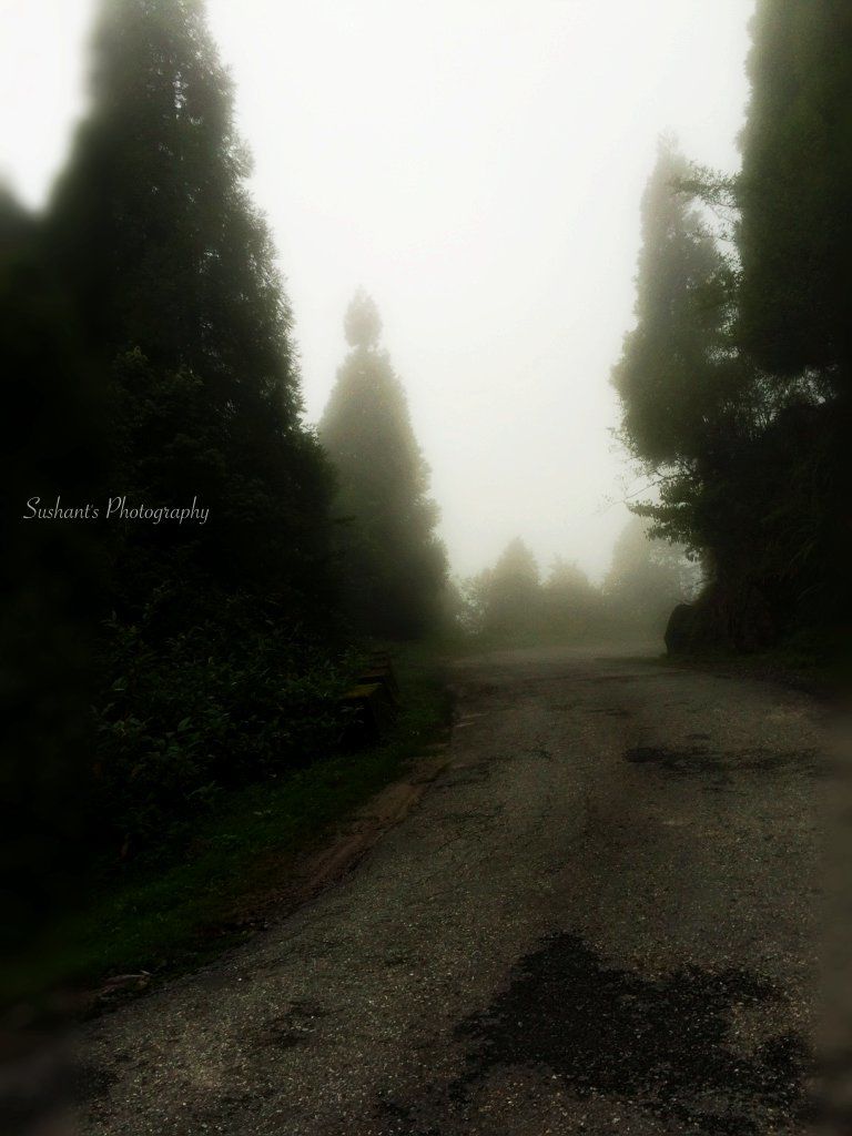 Photo of Exploring the Sikkim Silk Route on Motorbike 5/13 by Sushant Panda