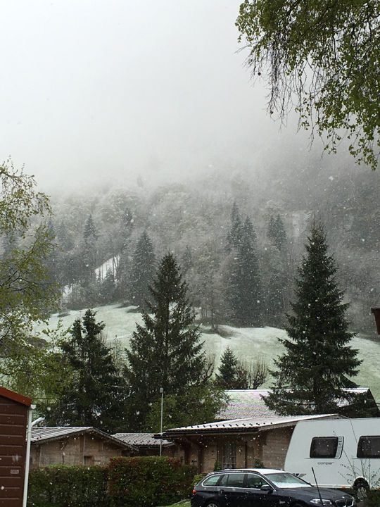 Photo of My Dream Come True. Switzerland trip.. The DDLJ way! by Deepa