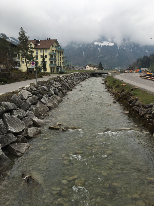 Photo of My Dream Come True. Switzerland trip.. The DDLJ way! by Deepa