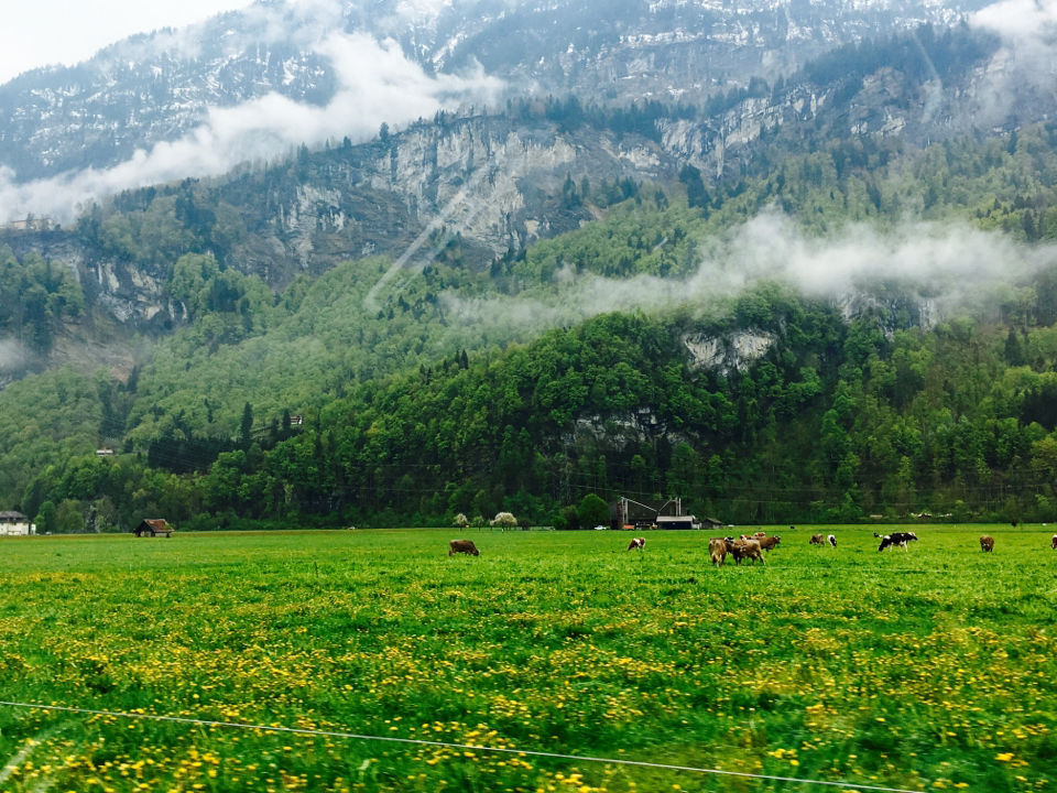 Photo of My Dream Come True. Switzerland trip.. The DDLJ way! by Deepa