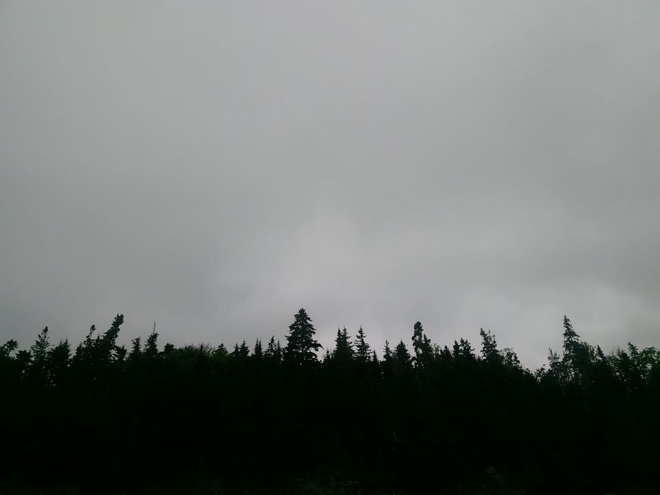 Photo of Two night trip to Acadia National Park, Maine by Anu Dutta