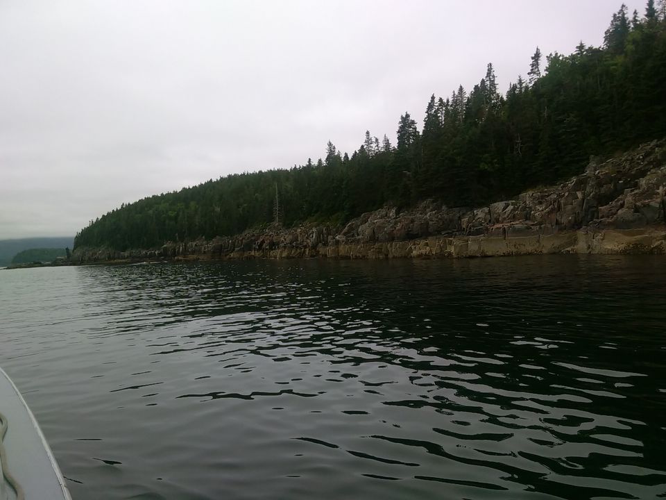 Photo of Two night trip to Acadia National Park, Maine by Anu Dutta