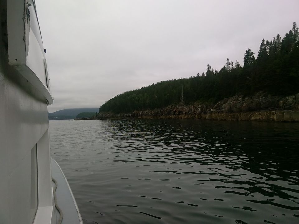 Photo of Two night trip to Acadia National Park, Maine by Anu Dutta