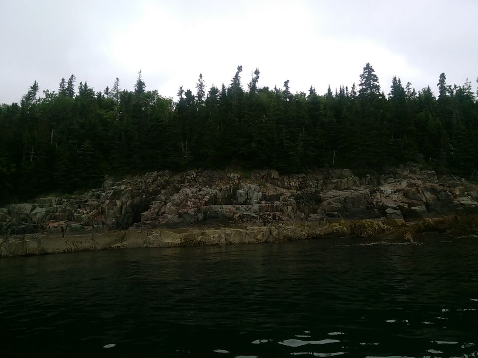 Photo of Two night trip to Acadia National Park, Maine by Anu Dutta