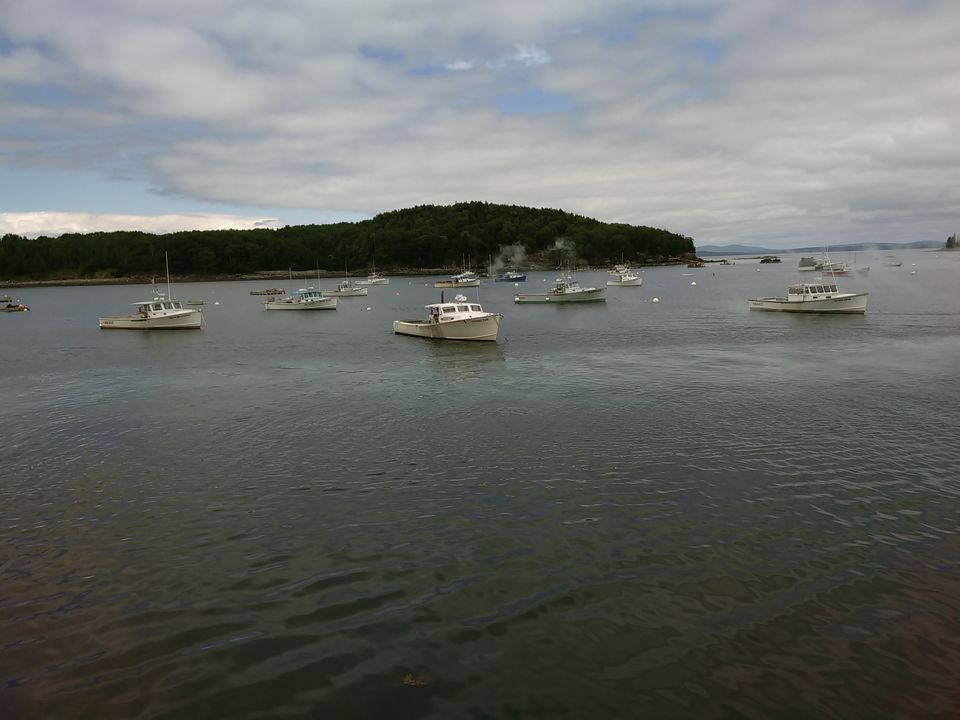 Photo of Two night trip to Acadia National Park, Maine by Anu Dutta