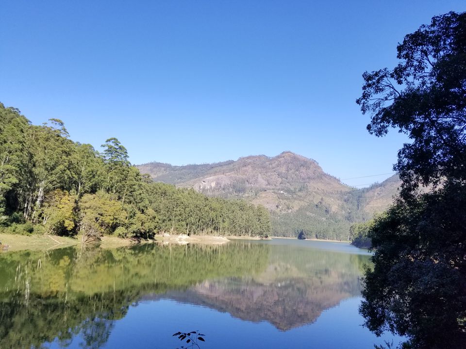 Photo of Vattavada in Munnar is perfect blend of wild and calm 1/15 by dce