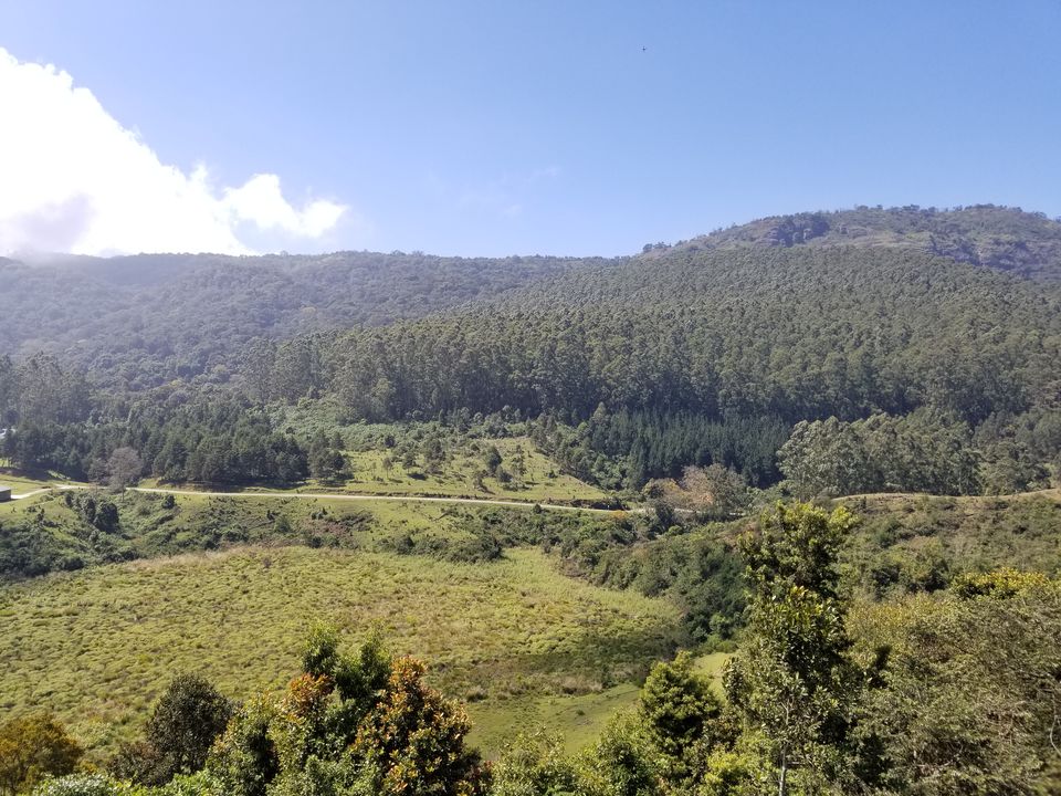 Photo of Vattavada in Munnar is perfect blend of wild and calm 7/15 by dce