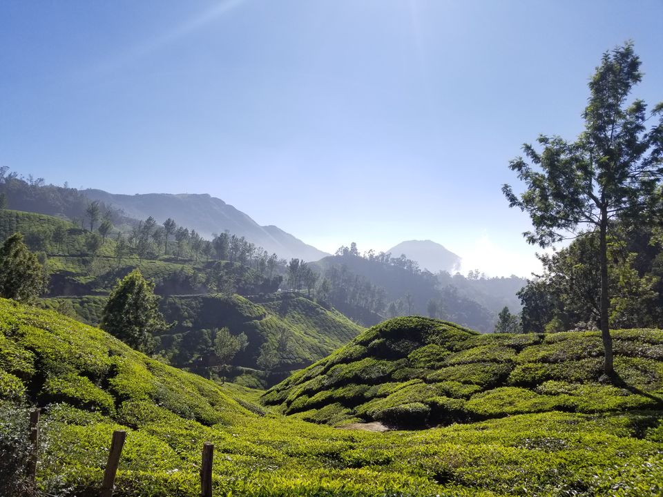 Photo of Vattavada in Munnar is perfect blend of wild and calm 10/15 by dce