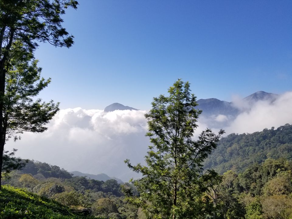 Photo of Vattavada in Munnar is perfect blend of wild and calm 11/15 by dce