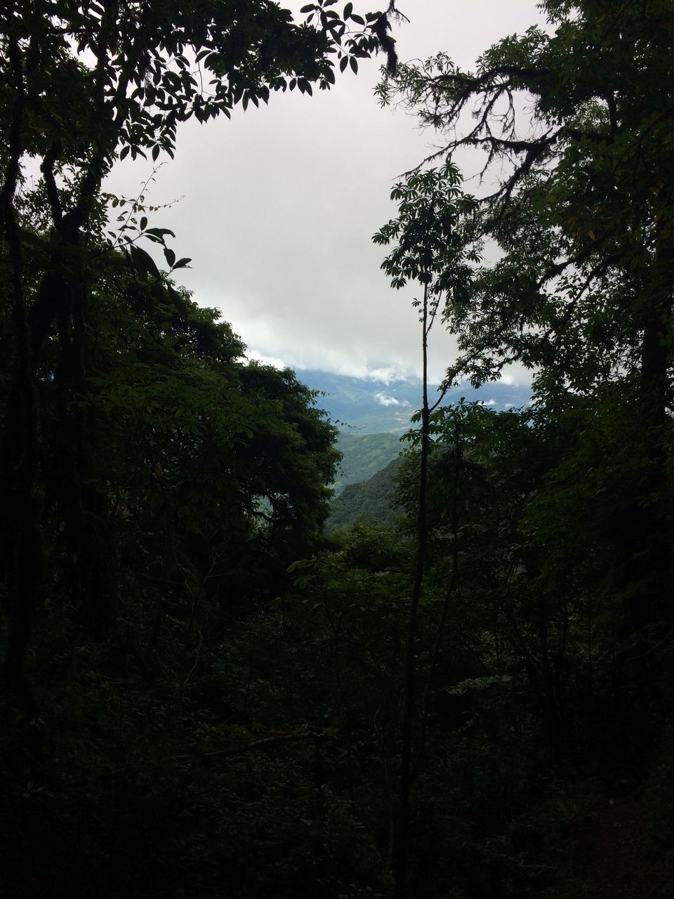 Photo of The Cold Valley of Dzukou 9/28 by Kirti Dhanuka