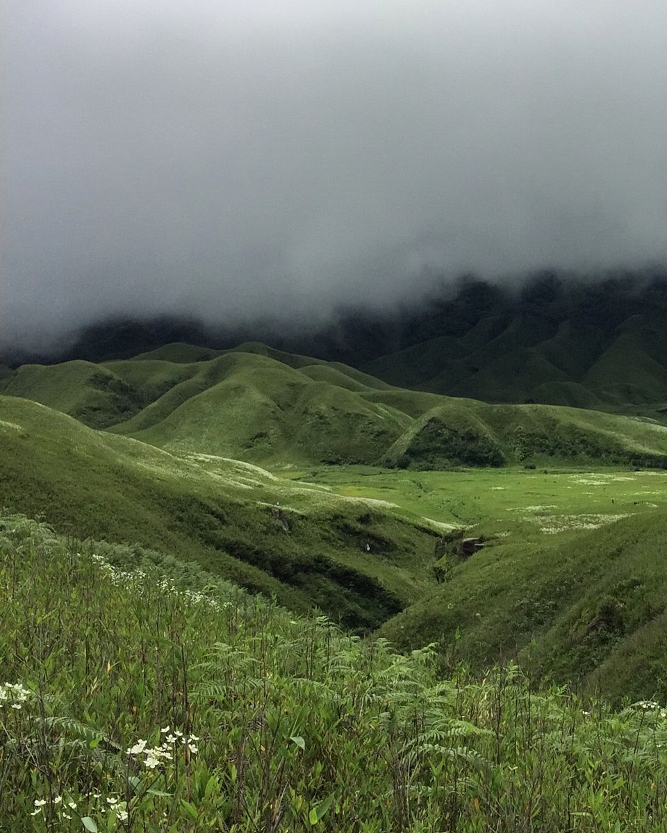 Photo of The Cold Valley of Dzukou 13/28 by Kirti Dhanuka