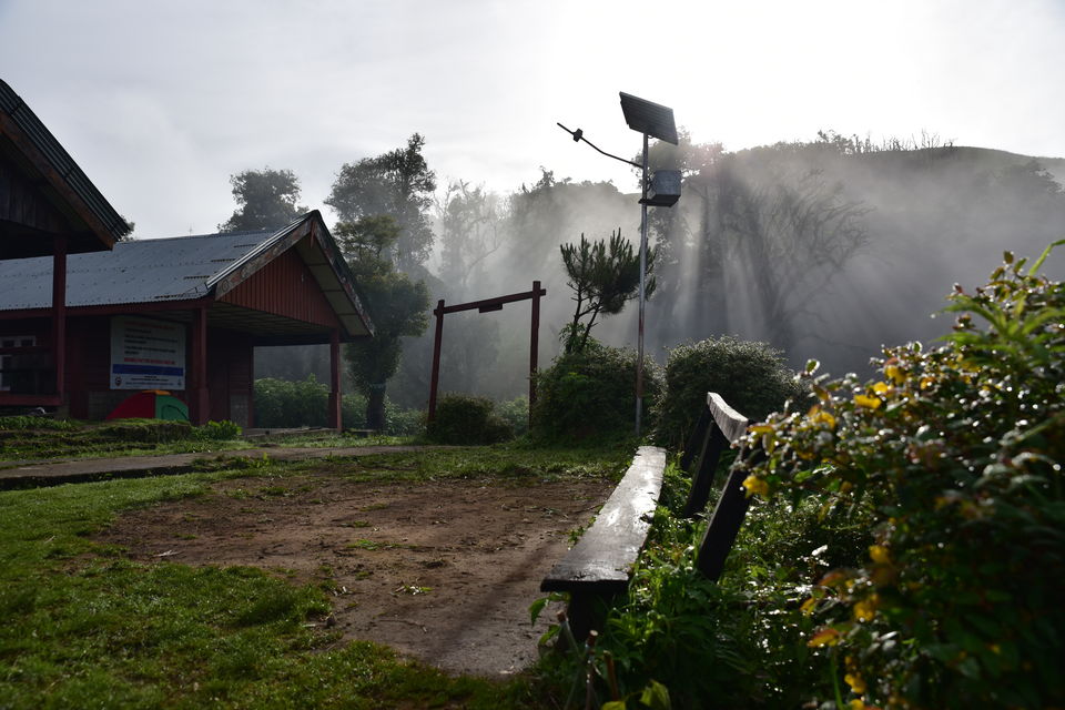 Photo of The Cold Valley of Dzukou 22/28 by Kirti Dhanuka