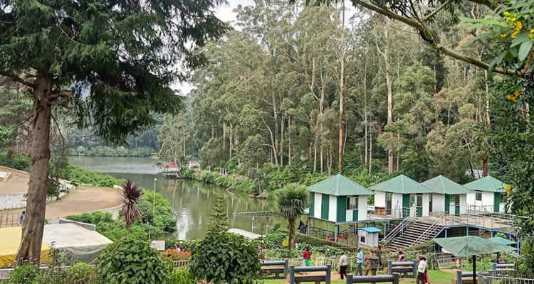 Photo of Planning a Trip to Ooty? This Comprehensive Guide Is the Only Thing You Need by Sahib Singh Sadana