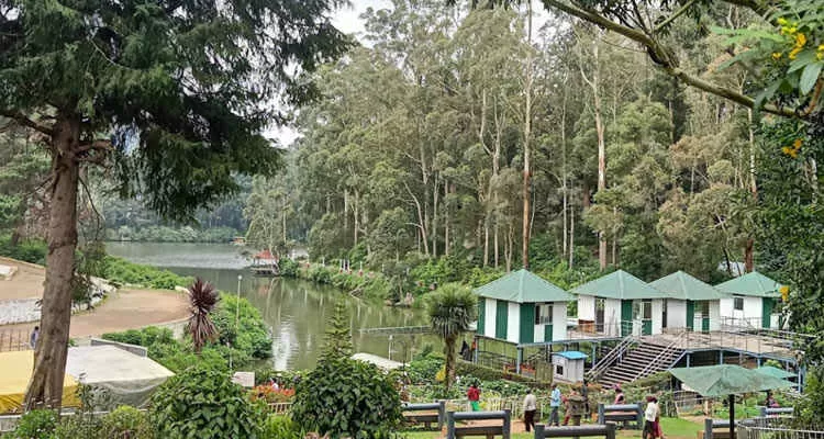 Photo of Planning a Trip to Ooty? This Comprehensive Guide Is the Only Thing You Need by Sahib Singh Sadana