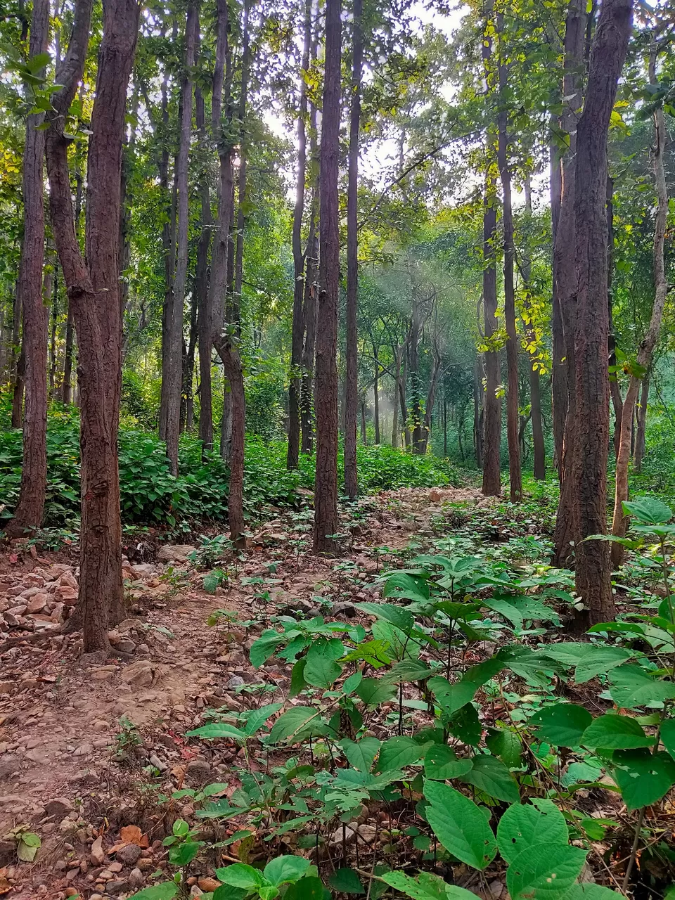 Photo of Susunia Hill by Arnab Banerjee