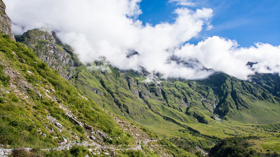Photo of Valley of flowers National park, Ghangaria, Uttarakhand, India by Kangkan Thakuria