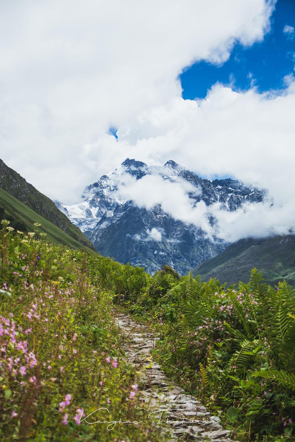 Photo of Trek to the Valley of Flowers and Hemkund Sahib by Kangkan Thakuria