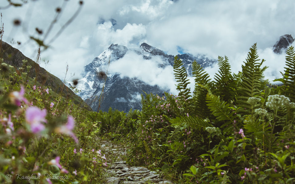 Photo of Trek to the Valley of Flowers and Hemkund Sahib by Kangkan Thakuria
