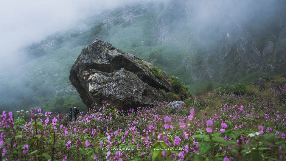 Photo of Trek to the Valley of Flowers and Hemkund Sahib by Kangkan Thakuria