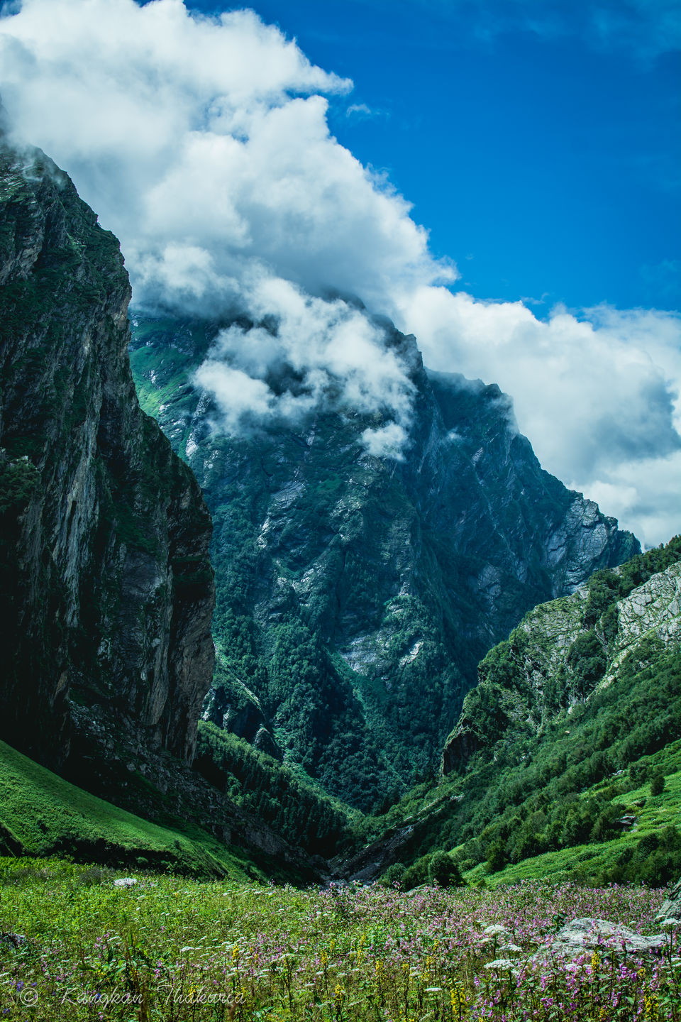 Photo of Trek to the Valley of Flowers and Hemkund Sahib by Kangkan Thakuria