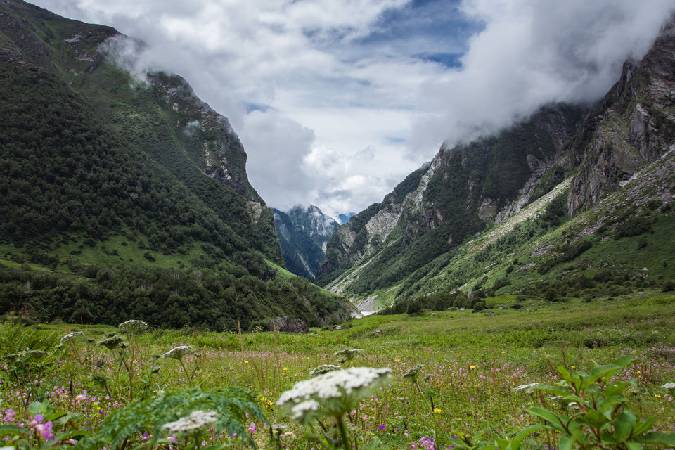 Photo of Trek to the Valley of Flowers and Hemkund Sahib by Kangkan Thakuria