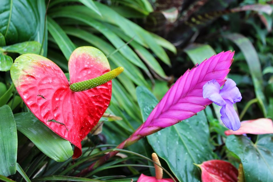Photo of Singapore - a perfect week's itinerary 2/3 by Saee T