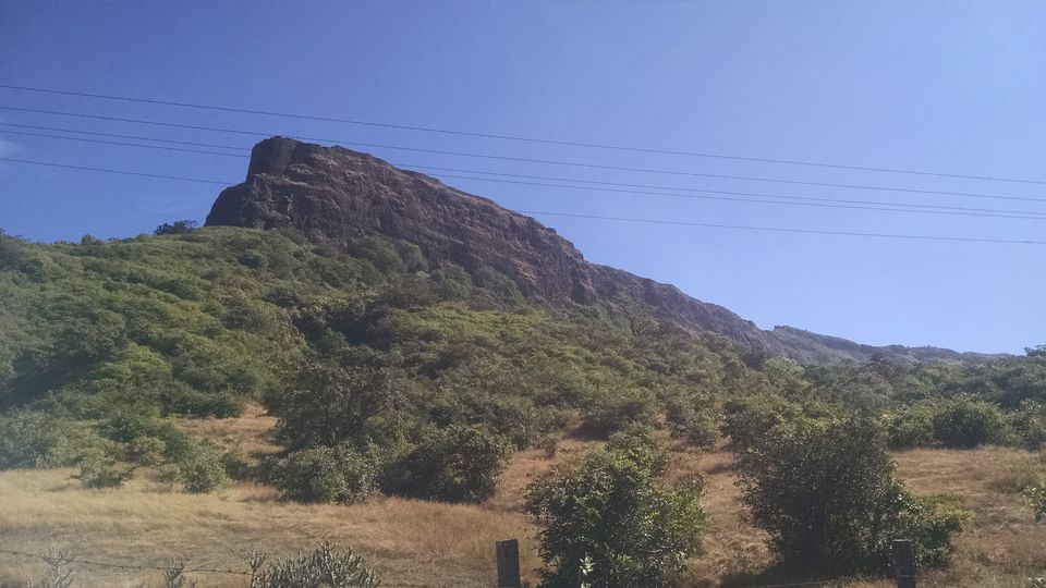 Photo of Winter Trek – Lohagad (Lonavla) 6/13 by Melanie