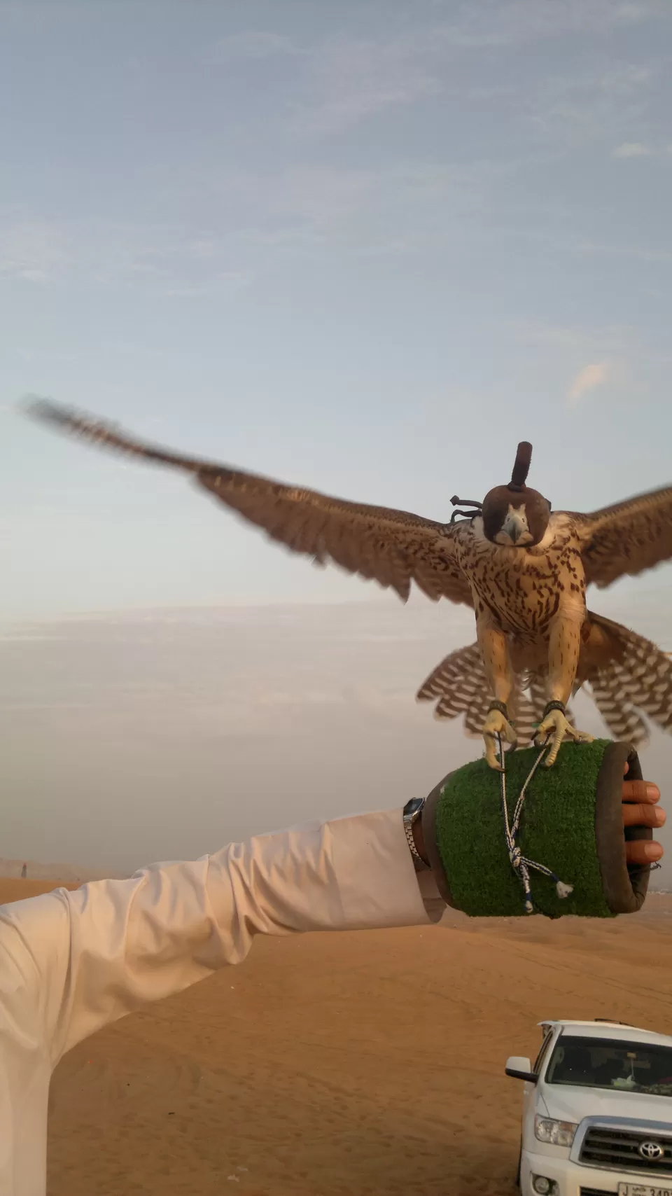 Photo of Desert Safari Camp, Dubai-Hatta Rd - Dubai - United Arab Emirates by Melanie