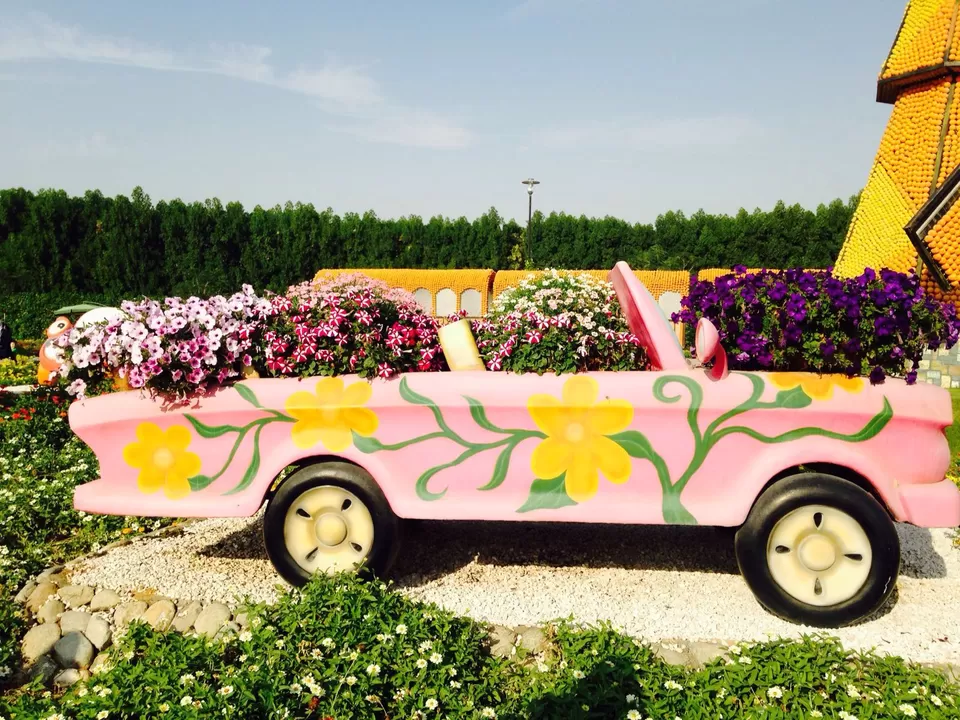 Photo of Dubai Miracle Garden, Al Barsha South 3, Barsha,Dubailand Area - Dubai - United Arab Emirates by Melanie