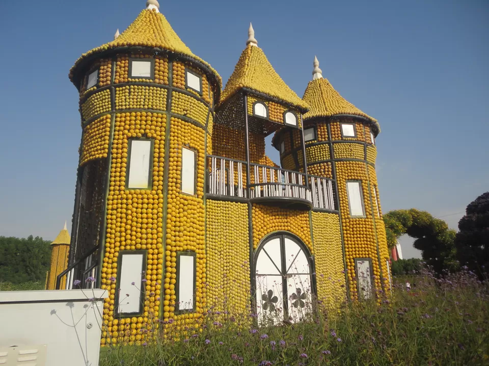 Photo of Dubai Miracle Garden, Al Barsha South 3, Barsha,Dubailand Area - Dubai - United Arab Emirates by Melanie