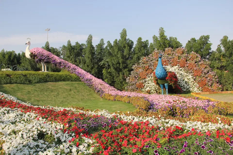 Photo of Dubai Miracle Garden, Al Barsha South 3, Barsha,Dubailand Area - Dubai - United Arab Emirates by Melanie