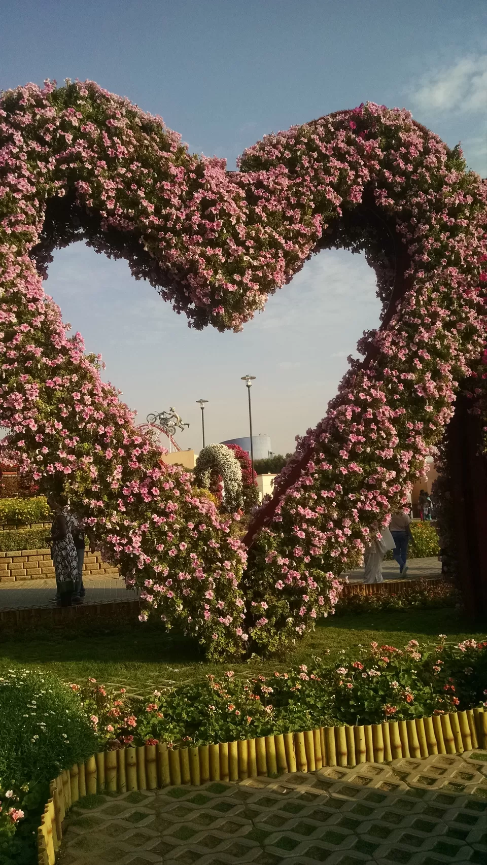 Photo of Dubai Miracle Garden, Al Barsha South 3, Barsha,Dubailand Area - Dubai - United Arab Emirates by Melanie