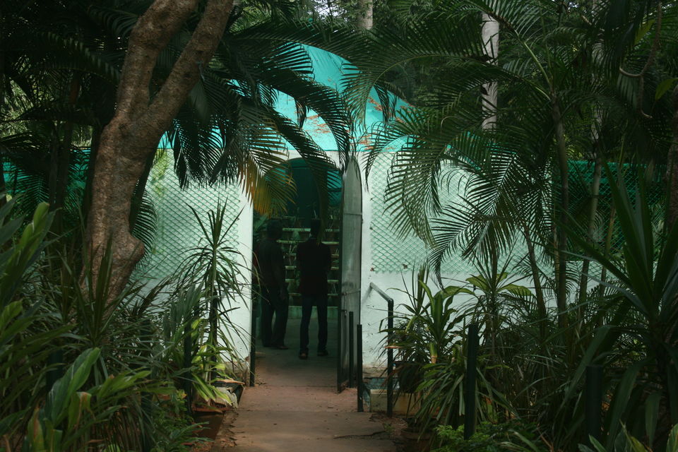 Photo of Pondicherry, Puducherry, India by Manasi Kulkarni