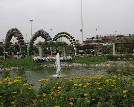 Photo of Dubai Miracle Garden - Dubai - United Arab Emirates by Sushma Neeraj