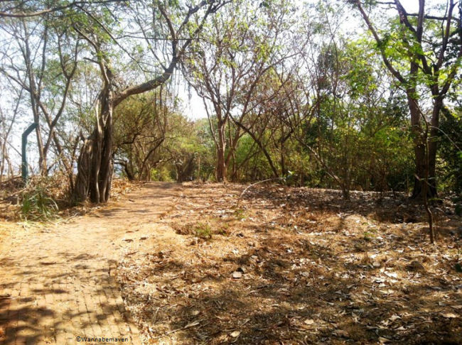 Photo of Maharashtra Nature Park Society, Dharavi, Mumbai, Maharashtra, India by Edwina D'souza