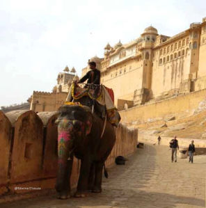 Photo of 2 nights 3 cities in Rajasthan: Jaipur-Ajmer-Pushkar 6/9 by Edwina D'souza