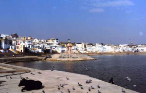 Photo of 2 nights 3 cities in Rajasthan: Jaipur-Ajmer-Pushkar 8/9 by Edwina D'souza
