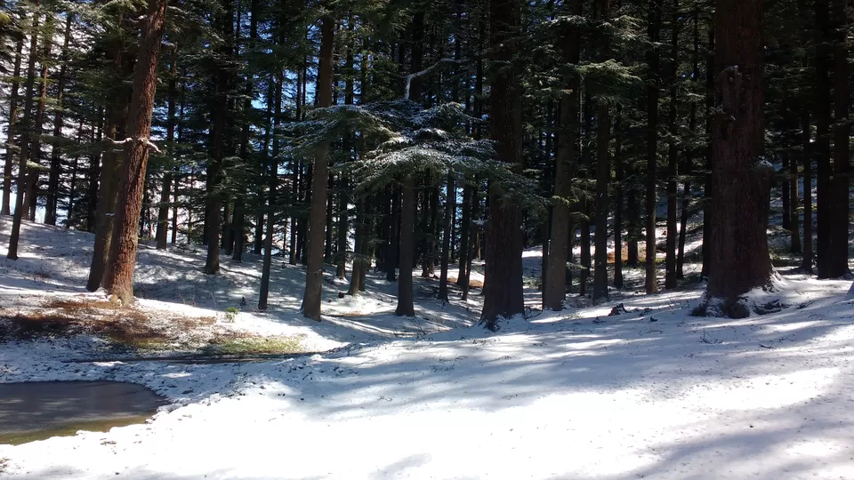 Photo of Shesh Nag Maharaj Temple, Jibhi, Himachal Pradesh, India by Abhishek Tyagi