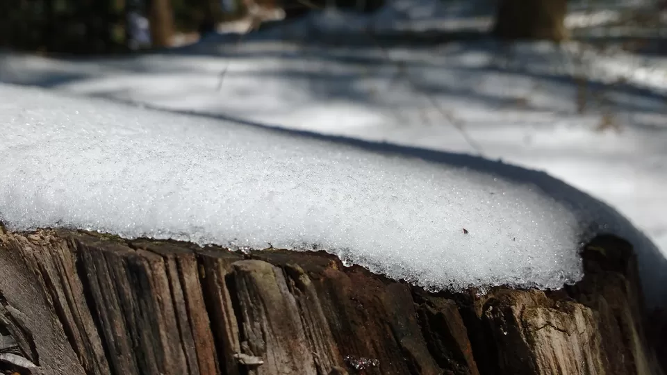 Photo of Shesh Nag Maharaj Temple, Jibhi, Himachal Pradesh, India by Abhishek Tyagi