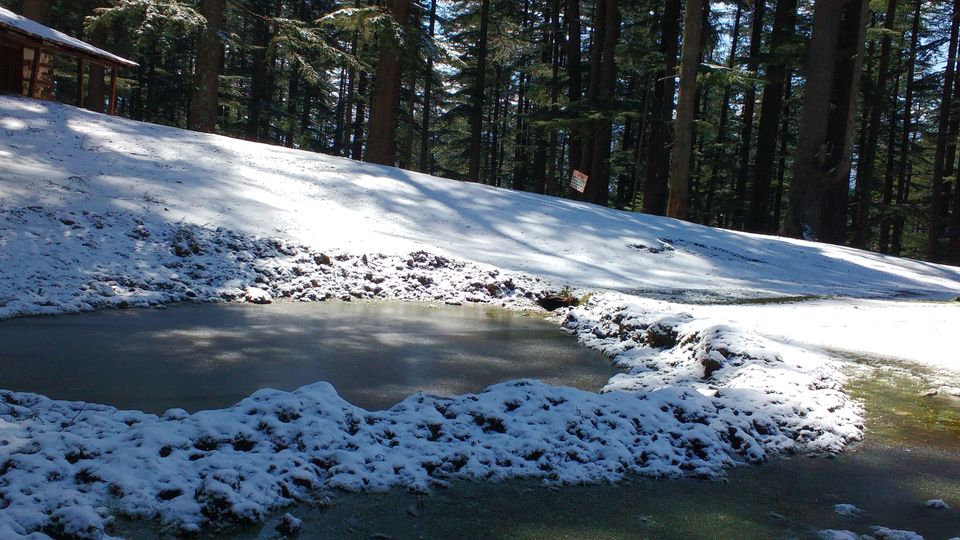Photo of Jibhi: Our first Experience with Snowfall in Himachal! by Abhishek Tyagi