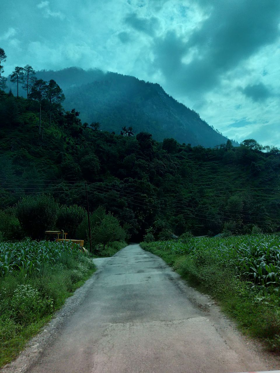 Photo of Tirthan Valley: Himachal Continues to Amaze! 9/19 by Abhishek Tyagi